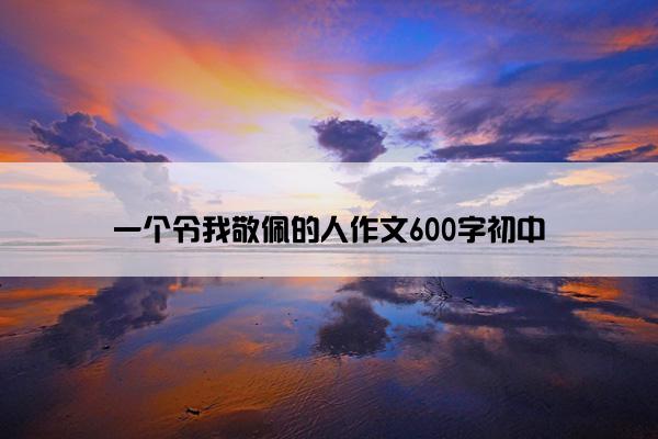 一个令我敬佩的人作文600字初中