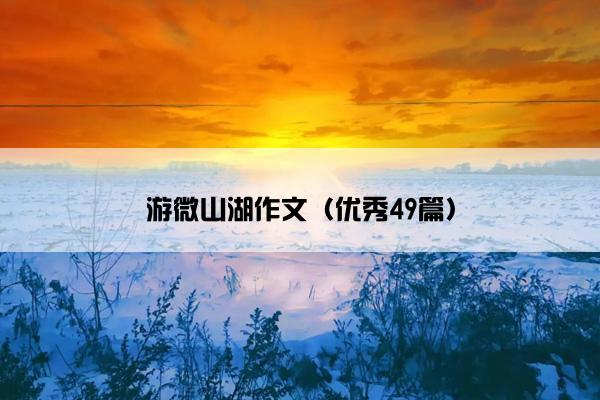 游微山湖作文(优秀49篇) 游微山湖作文(优秀49篇)
