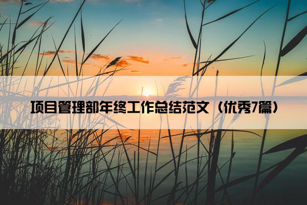 项目管理部年终工作总结范文（优秀7篇）