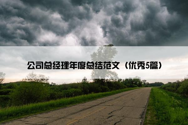 公司总经理年度总结范文（优秀5篇）
