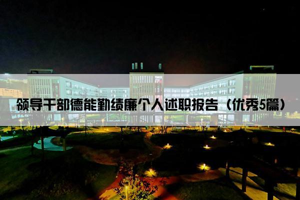 领导干部德能勤绩廉个人述职报告（优秀5篇）