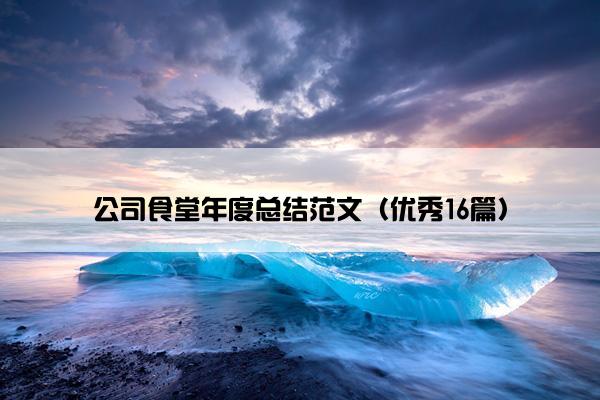 公司食堂年度总结范文（优秀16篇）