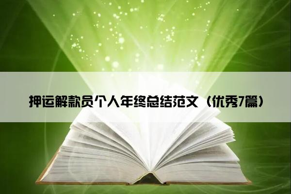 押运解款员个人年终总结范文（优秀7篇）