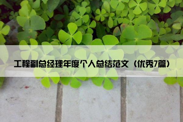 工程副总经理年度个人总结范文（优秀7篇）