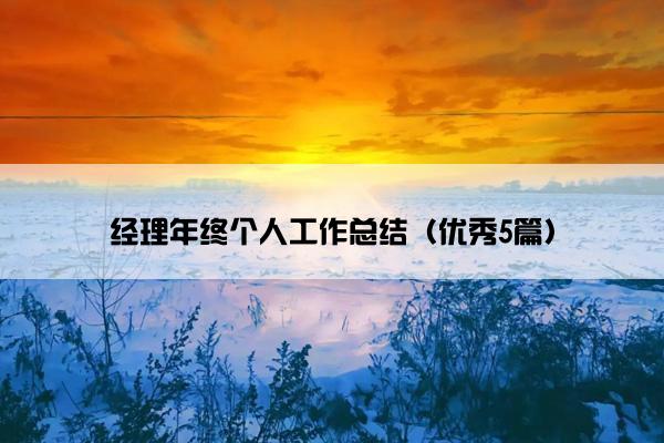 经理年终个人工作总结（优秀5篇）