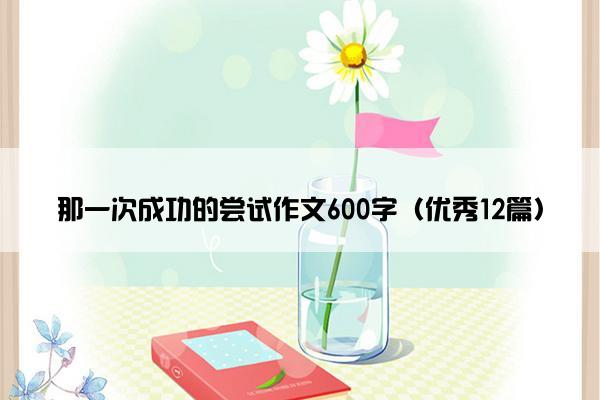 那一次成功的尝试作文600字（优秀12篇）