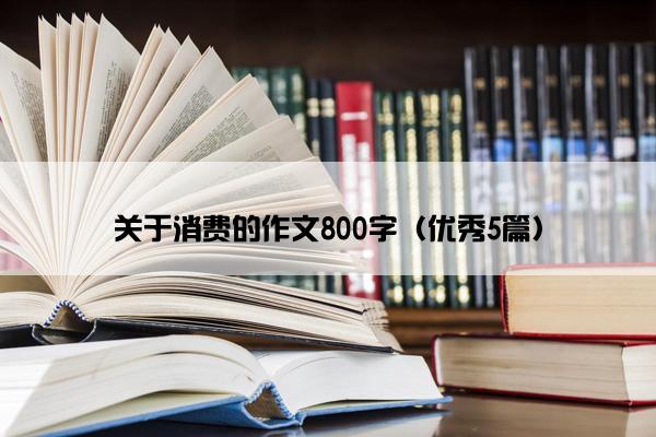 关于消费的作文800字（优秀5篇）