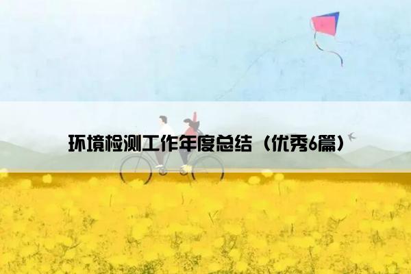 环境检测工作年度总结（优秀6篇）