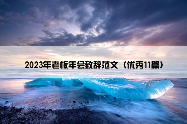 2023年老板年会致辞范文（优秀11篇）
