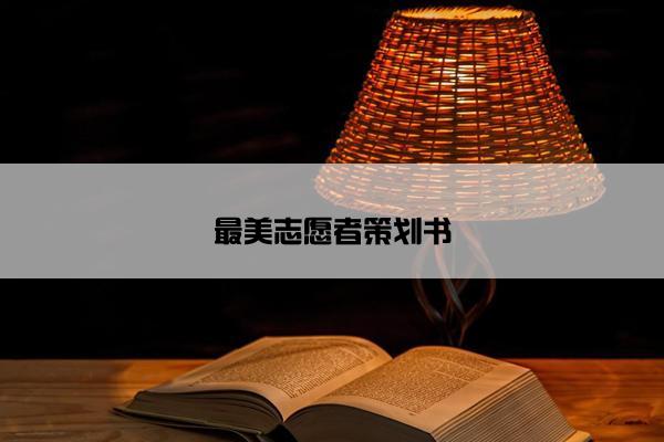 最美志愿者策划书