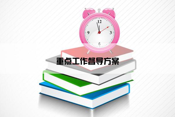 重点工作督导方案