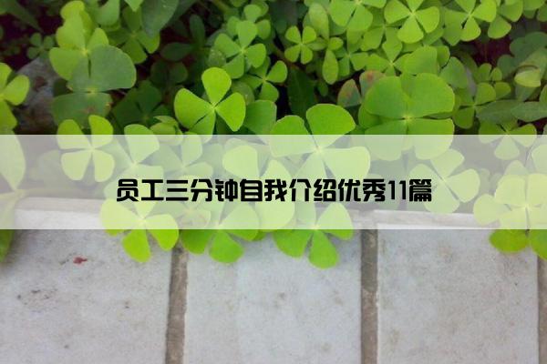 员工三分钟自我介绍优秀11篇