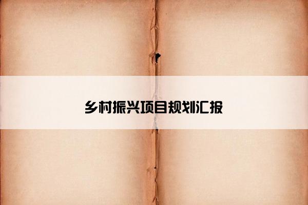 乡村振兴项目规划汇报