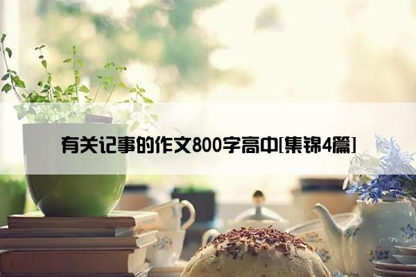 有关记事的作文800字高中[集锦4篇]