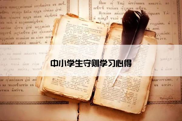 中小学生守则学习心得