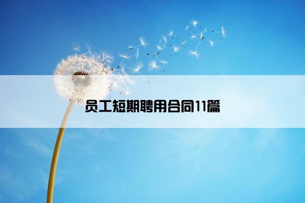 员工短期聘用合同11篇