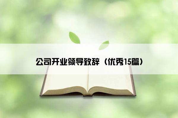 公司开业领导致辞（优秀15篇）