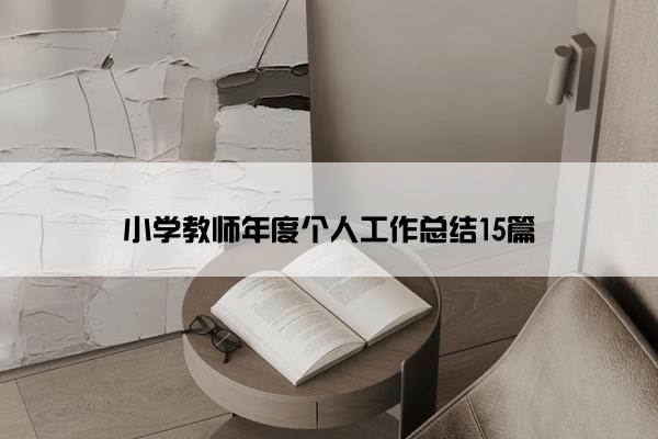 小学教师年度个人工作总结15篇