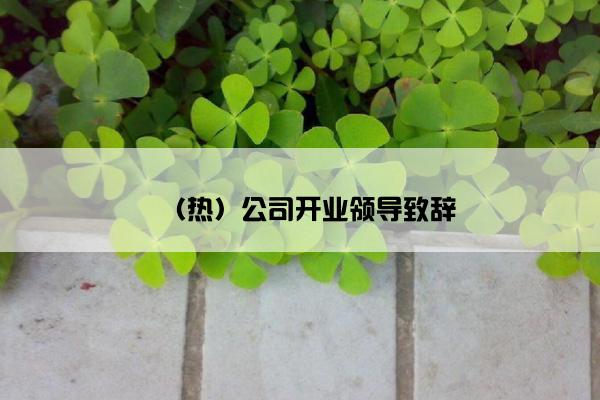 （热）公司开业领导致辞
