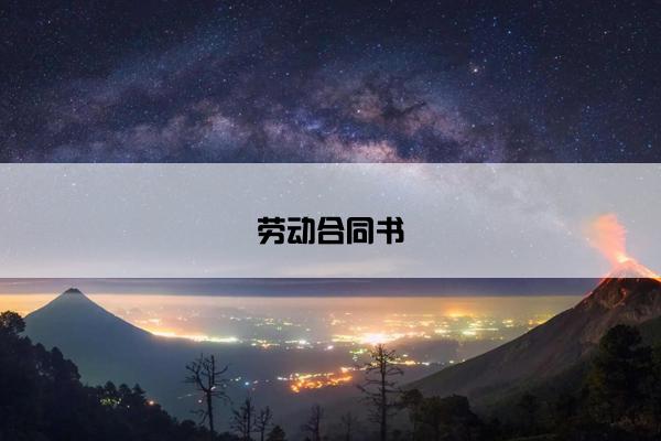 劳动合同书 劳动合同书