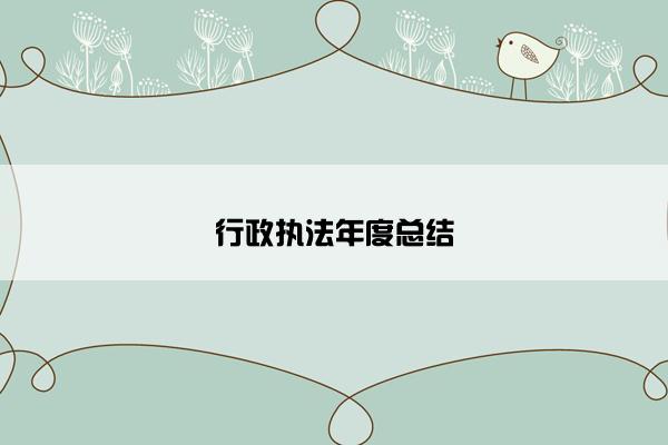 行政执法年度总结