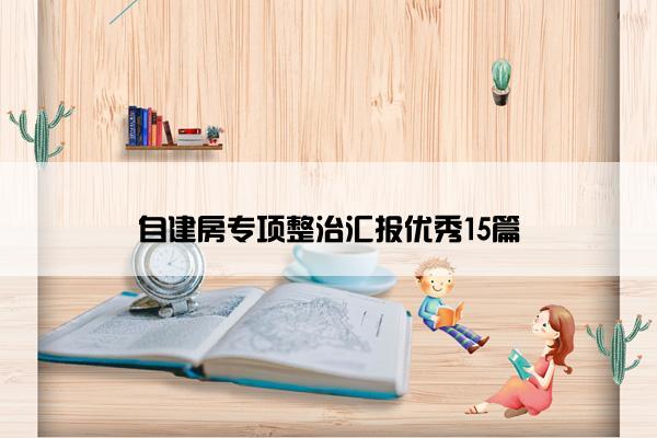 自建房专项整治汇报优秀15篇