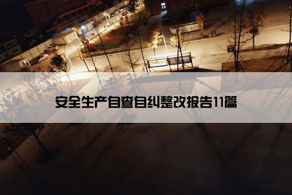 安全生产自查自纠整改报告11篇
