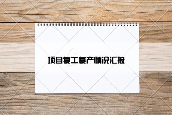 项目复工复产情况汇报