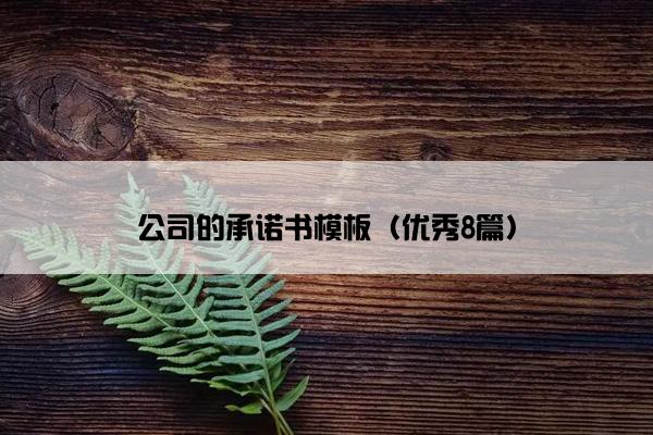 公司的承诺书模板（优秀8篇）