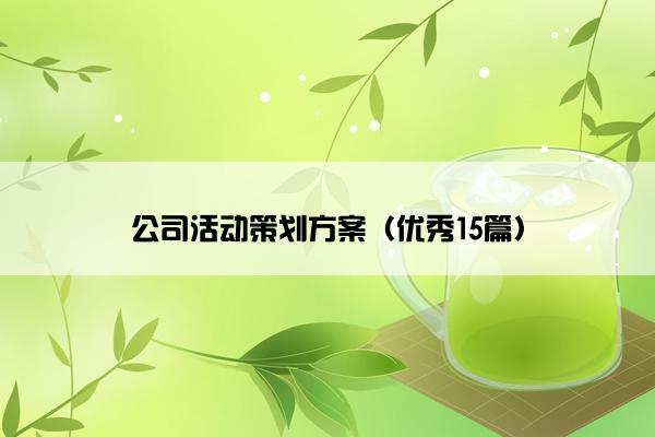 公司活动策划方案（优秀15篇）