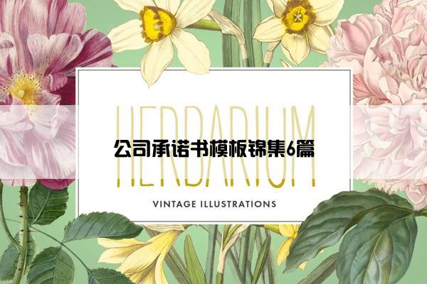 公司承诺书模板锦集6篇 公司承诺书模板锦集6篇