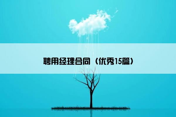 聘用经理合同（优秀15篇）