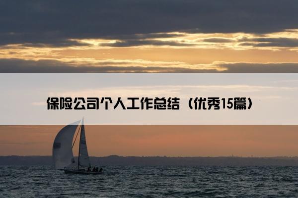 保险公司个人工作总结（优秀15篇）