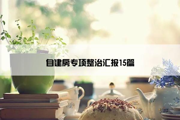 自建房专项整治汇报15篇
