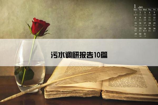 污水调研报告10篇