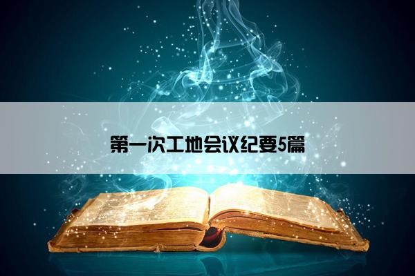 第一次工地会议纪要5篇
