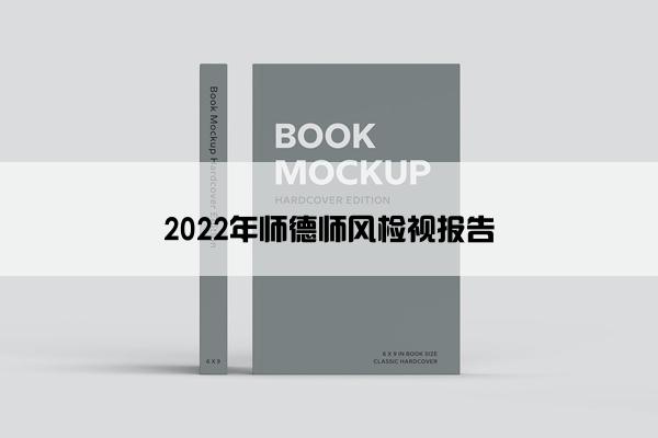 2022年师德师风检视报告