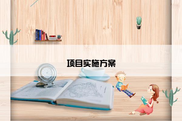 项目实施方案