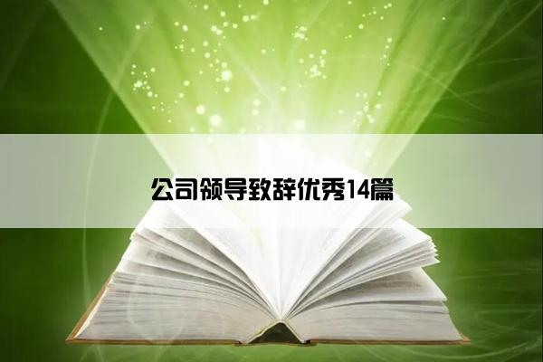 公司领导致辞优秀14篇