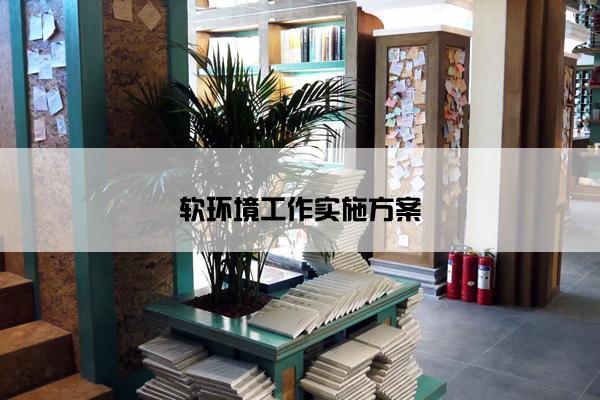 软环境工作实施方案