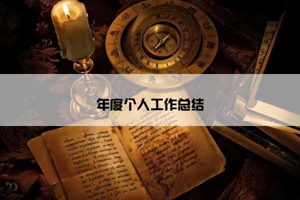 年度个人工作总结