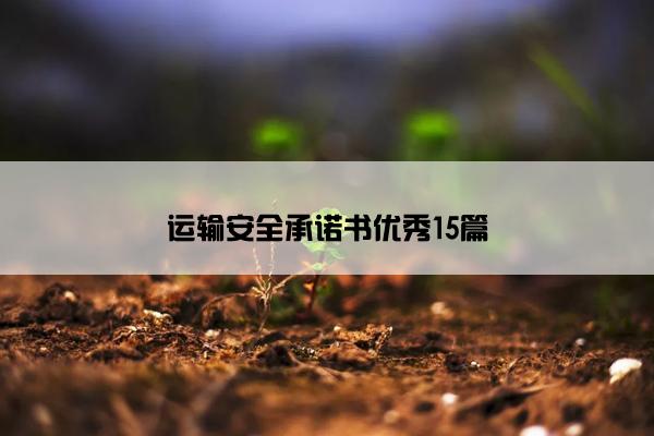 运输安全承诺书优秀15篇