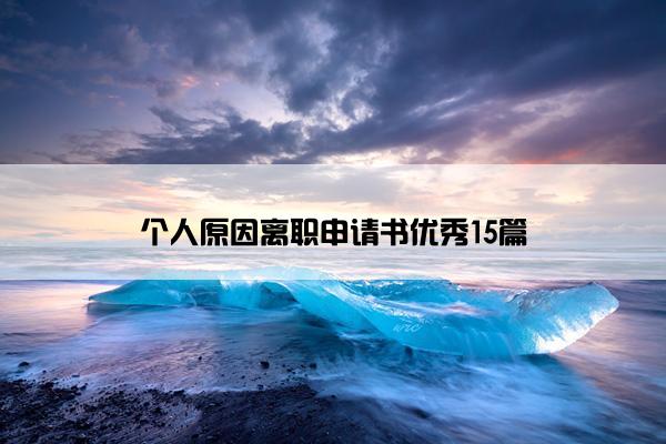 个人原因离职申请书优秀15篇
