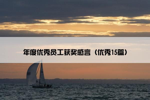 年度优秀员工获奖感言（优秀15篇）