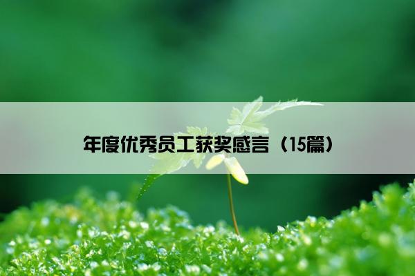 年度优秀员工获奖感言（15篇）
