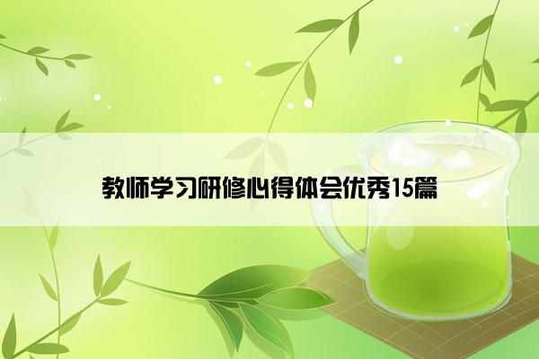 教师学习研修心得体会优秀15篇