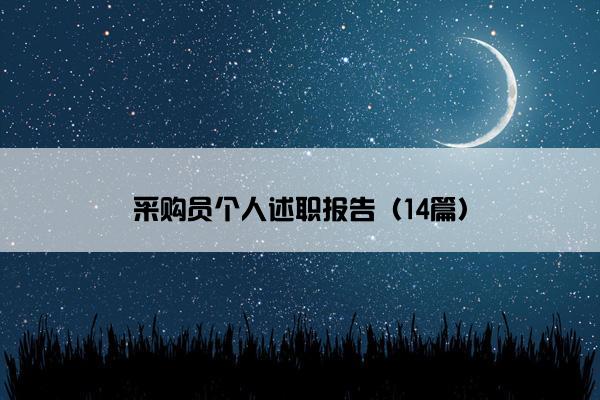 采购员个人述职报告（14篇）