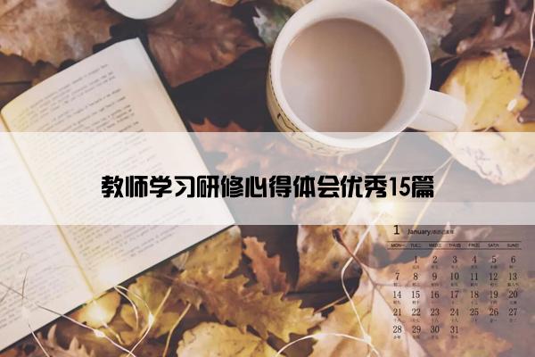 教师学习研修心得体会优秀15篇