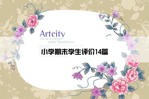 小学期末学生评价14篇