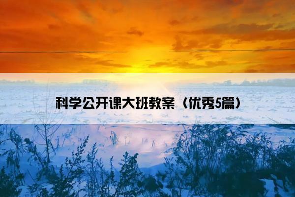 科学公开课大班教案(优秀5篇) 科学公开课大班教案(优秀5篇)